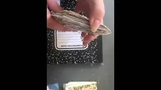6x9 envelop part3