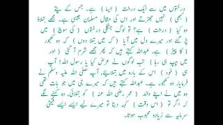 sahih bukhari hadees no 131