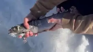Maine ice fishing for trout in Sarah&rsquo;s new truck