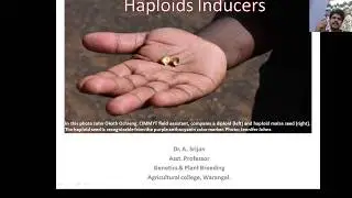Haploid Inducers Alternative strategies