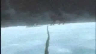 Wolf's Rain - Default This