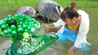 Pearl Paradise Found: Girl Cracks Open Giant Clam in Mysterious River, Unleashing a Media Frenzy
