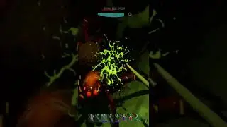 GROUNDED - Diving Bell spiders? WTH