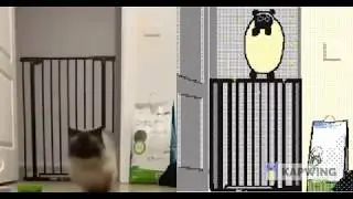 Cat Jumping Over Gate (Animated)