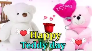 10 February ,Happy teddy day video,teddy day status , teddy day song ,teddy day photo