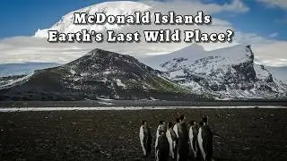 Exploring the Enigmatic McDonald Islands: A Sub-Antarctic Paradise | Planet & People Chronicles