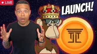 $LOYAL token Launch Party! 🚀🚨