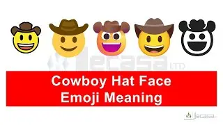 Cowboy Hat Face Emoji 🤠 Meaning | Learning Emojis