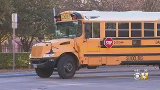 School Safety Zone: Keeping Your Kids Safe