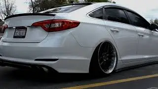 2015 Bagged LF Sonata 2019 K5 Optima