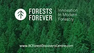 Forests Forever Exhibit Concept - BC Forest Discovery Centre