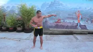How To Do Shadow Chuai Tui Kick