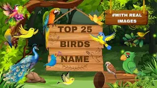 birds name | Top 25 birds name in english with pictures | birds vocabulary in english  @krumble kids