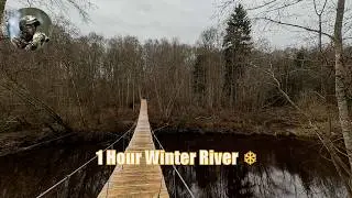 Winter River Walk No Snow &ndash; Crunchy Leaves & Flowing Water Sounds ❄️ (1 Hour)