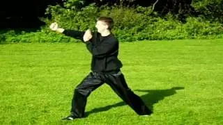 13 - Tong Long Chor Dong Kuen HD - M-Kung- Fu - Seven Star Mantis Kung Fu - M - Kung - Fu .avi