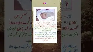 Great Spiritual Scholar - Journey of Faith and Allah's Love ❤️ #islam #ishq