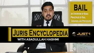 Bail process explained | Bail bond agents explained | High-profile bail cases