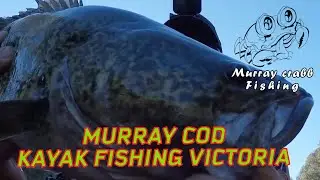 Murray Cod Fishing Victoria, Kayak fishing with a mate