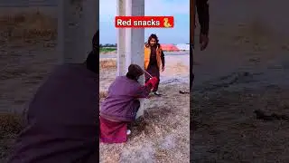 #bache #funny #fish #comedy #animals #fishing #youtubeshorts #babache #tiktokstar #viral
