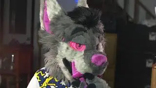 That 360 Furry Live Stream idk man