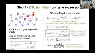 Inference and analysis of cell-cell communication using CellChat