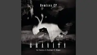 Gravity (Shapeless Remix) (R&aacute;dio)