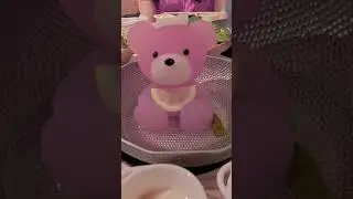 Melting teddy bear hot pot! 🐻🔥 Too cute to eat?! 🍲✨ #Tokyo #Shibuya #Japan