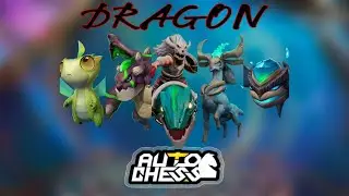 6 mage 5 dragon 5 human | auto chess | enjoy