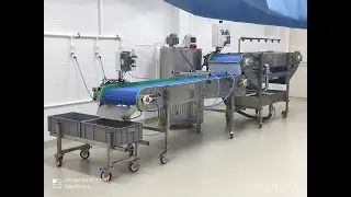 Meyve,sebze ila&ccedil;lama solisyon ve kurutma hattı