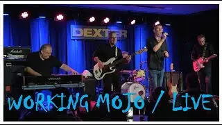 Working Mojo // Blues Rock // Live at Dexter, Odense - Denmark - 13. Dec. 2025