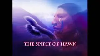 The Spirit of Hawk (Full Version) / chuji