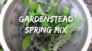 ep3 Gardenstead Spring Mix
