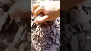 Oddly Satisfying The Crumbling of Mudstone ASMR