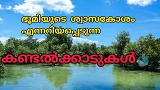 The Mangroves-Malayalam