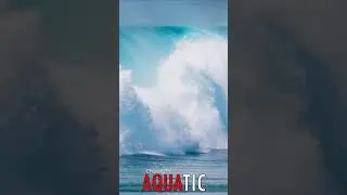 🌊 #AQUATIC - Sultan's Shore: Power in Motion as Mighty Ocean Waves Crash with Majesty 🦈