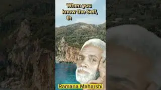 There are no other People, only Self exists - Ramana Maharshi