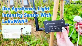 Using AgroSense Light Intensity LoRaWAN Sensor with Datacake: Smart Garden Monitoring