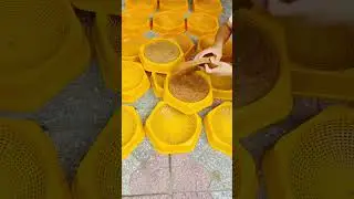 Pigeons eggs laying bowls with artificial nest   #pigeon