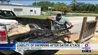 Moss Park lake still closed after gator attack
