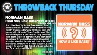 Norman Bass - How U Like Bass? (Warp Brothers Friendly Club Mix) (2001) Radikal THROWBACK THURSDAY