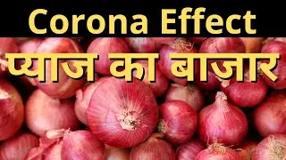 Sultanpur News: Lock Down के Side Effect से प्याज बेदम, Rate सुनकर चौक जाएंगे ....  | NTTV BHARAT
