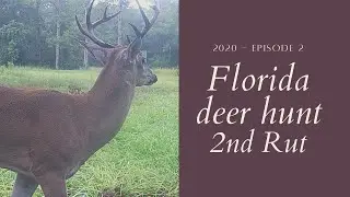 Florida deer hunt.  Timing the 2nd Rut