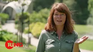 Adverteren op RINGtv