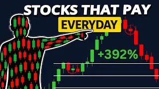 How I Get PAID To Buy Stocks Every Week (Full Guide Inside)