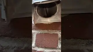 How to rodent proof dryer vent ? #dryervent #rat #mice #rodentproofing