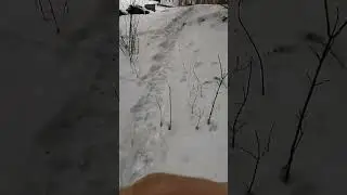 3 февраля 2026 г._Сбербанк 2202203654418625 Елена К. Kaspi +7 771 194 42 69 Глеб Т.