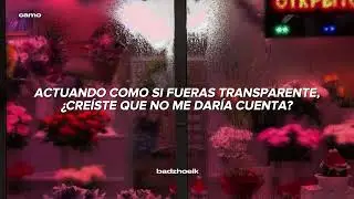 Camo - ICE (sub espa&ntilde;ol)