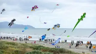 Thousands enjoy the Otaki Kite Festival in New Zealand