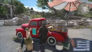 Final Fantasy 15 Buy Expensive Cat Food Give to Kitty Cat