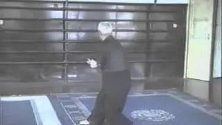 吴式老架83式太极拳太极大师赵琴演练